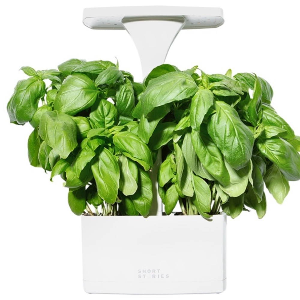 Short Stories LED Indoor Planter